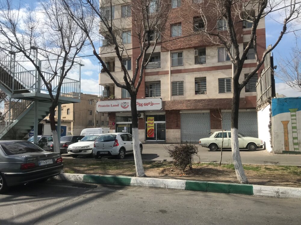 اجرای عملیات باندینگ تنه درختان در منطقه ۲۰