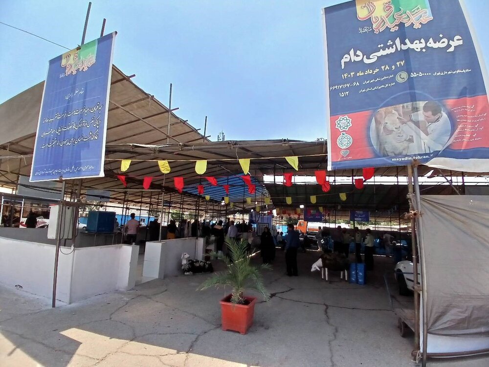 عرضه بهداشتی بیش از ۱۴۰ رأس دام در مرکز عرضه دام زنده منطقه۲۰