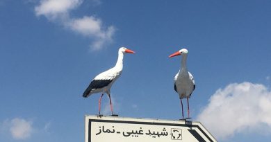 نصب  المان‌های لک‌لک بر فراز تابلوهای مسیریاب و چراغ‌های راهنمایی