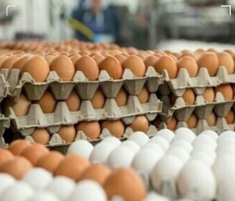 سرویس سیاسی و اجتماعی راگا پرس ؛